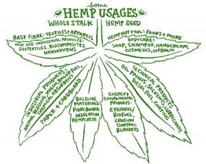 Hemp uses